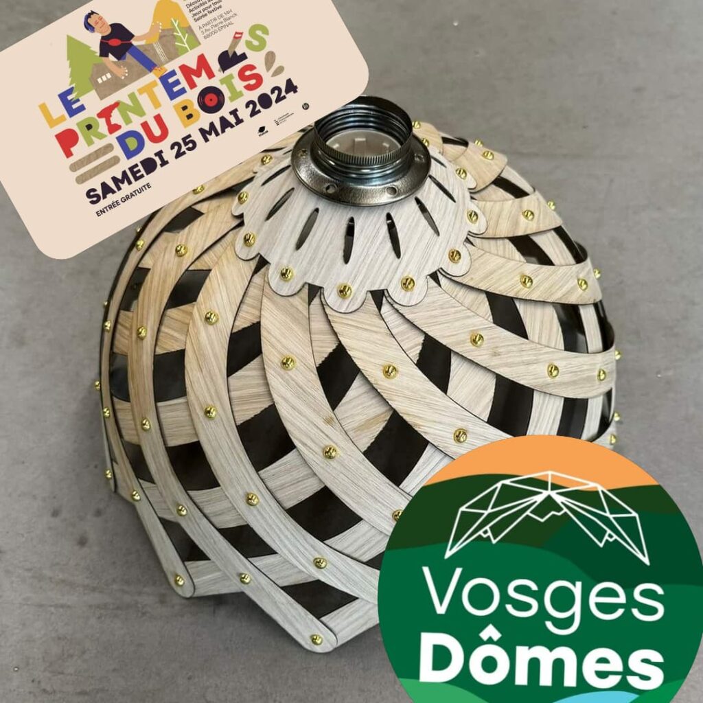 Lampe en bois flotté Vosges Dômes